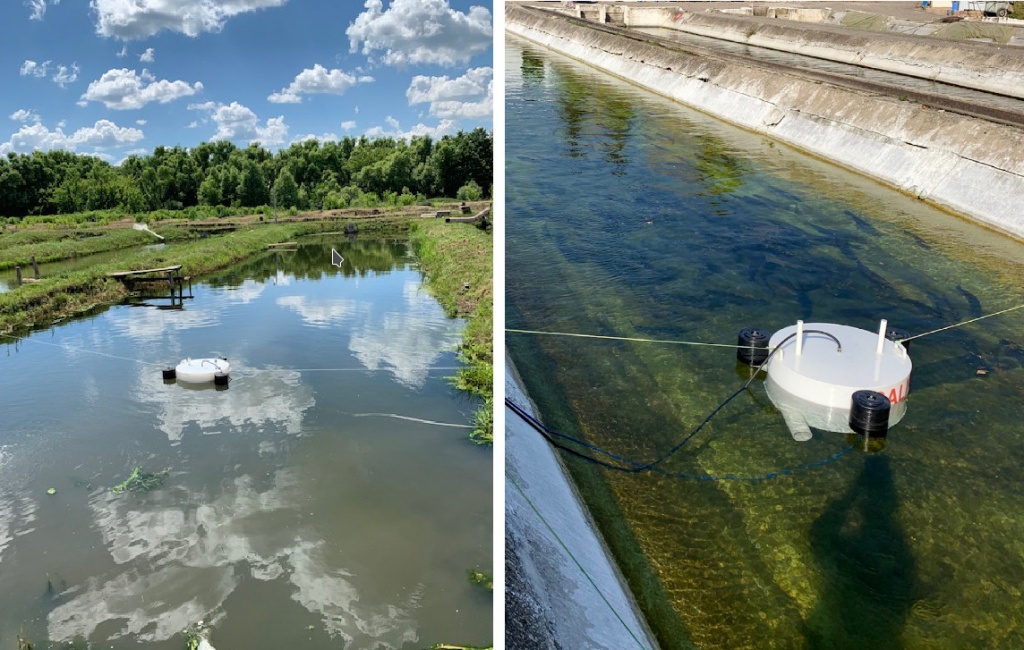 Рис. 2 Плавучие оксигенаторы в пруду с промышленными гибридами F2 осетровых и в бассейне с форелью